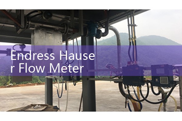 Endress Hauser Flow Meter Manual Hub: Operational Checklists for Industrial Transmitters